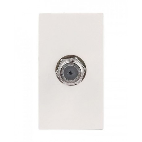 TOMA TV COAXIAL MARFIL | BETA | ESTEVEZ
