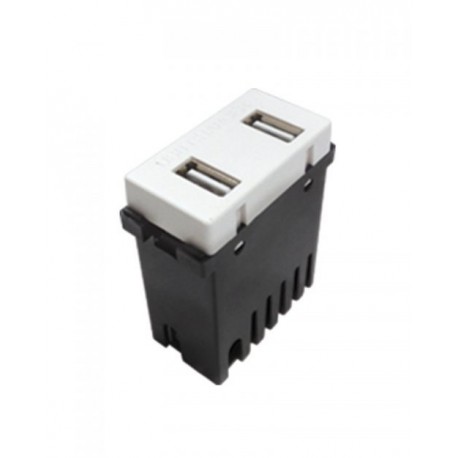 MODULO 2 PUERTOS USB 2A BLANCO | ROYER 100