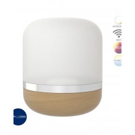 INTERIOR DECORATIVO 12.5W100-127VRGB710L