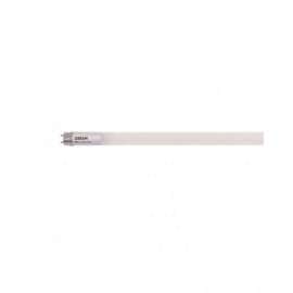 LED STAR T8 16W 6500 K