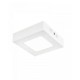 Algedi I | INTERIOR PLAFONES LED 6W100-240V3000K | Tecnolite