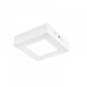 Algedi I | INTERIOR PLAFONES LED 6W100-240V3000K | Tecnolite