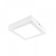Algedi II | INTERIOR PLAFONES LED 12W100-240V6500K | Tecnolite