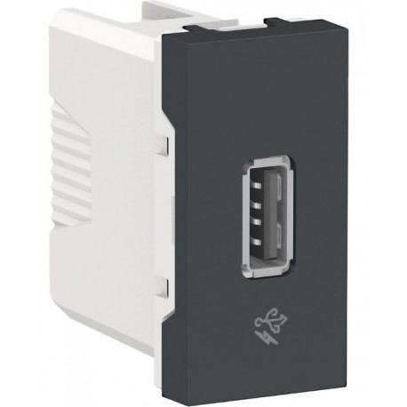 Toma USB 2.0 para carga 1 A. Grafito
