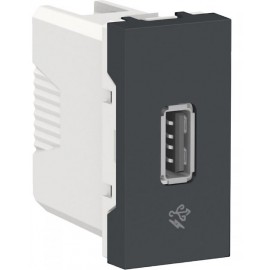 Toma USB 2.0 para carga 1 A. Grafito