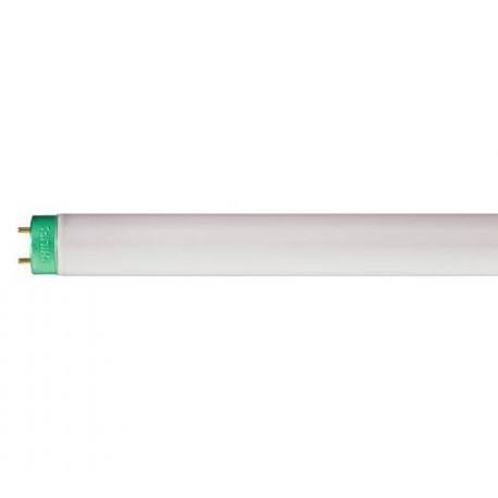 Tubo Fluorescente T8 17W 60Cm 6500K