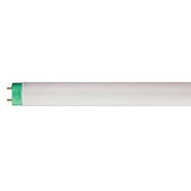 Tubo Fluorescente T8 32W 1.20M 5000K
