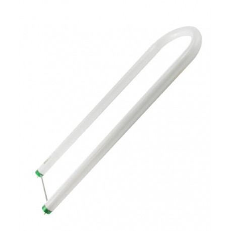 Tubo Fluorescente T8 U-Bent 25W 4100K Philips